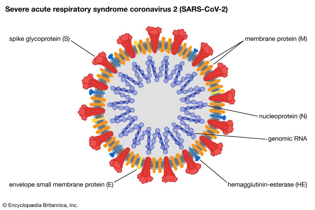 Coronavirus