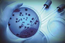 ANTIMICROBIAL ACTIVITY